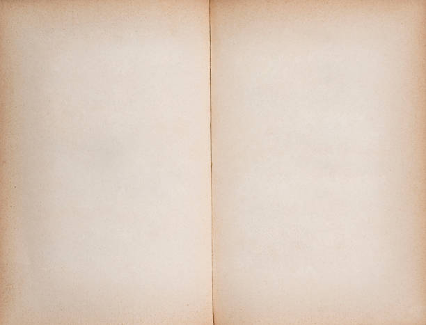 istock Empty sheets. The blank pages of an old book. 1448288728