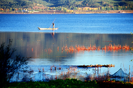 Plateau lake, fishing-boat, golden tree, duck, in autumn.  Photo in 11/26/2008, Lijiang, Yunnan