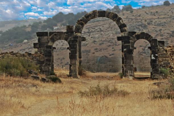 istock Volubilis, the Roman archaeologic site in Morocco 1448290999