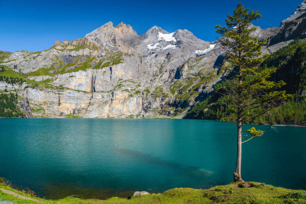 Oeschinensee alpine lake with beautiful high mountains and glaciers, Switzerland Famous travel and hiking destination, alpine lake and snowy mountains with glaciers in background, Oeschinensee lake, Bernese Oberland, Switzerland, Europe lake oeschinensee stock pictures, royalty-free photos & images