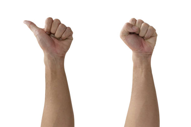 istock Raise your handful and thumbs up isolated on white background 1448296480