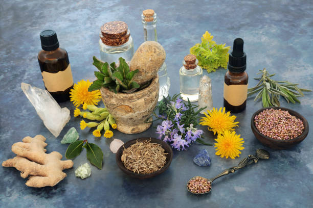 istock Alternative Natural Herbal Remedy Ingredients 1448303369