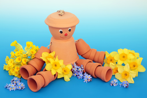 Recycled flowerpot man garden ornament with Spring cowslip, daffodil and forget me not flowers. Whimsical gardening fun ornamental pottery object concept. On gradient blue white background.