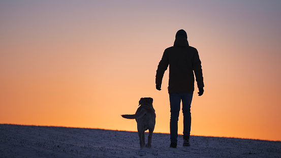 Silhouettes of man with dog. Pet owner and labrador retriever are walking on snowy fields at dawn.
