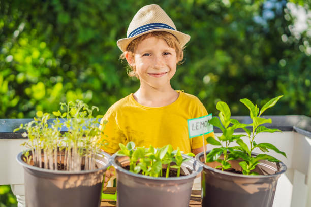 istock The boy is doing gardening on his balcony. Natural development for children 1448305818