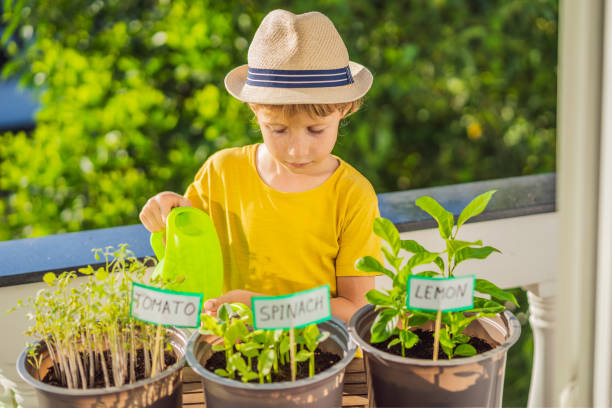 istock The boy is doing gardening on his balcony. Natural development for children 1448305822
