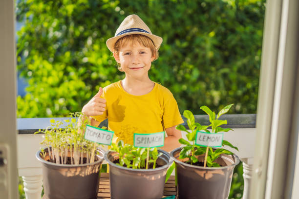 istock The boy is doing gardening on his balcony. Natural development for children 1448305825