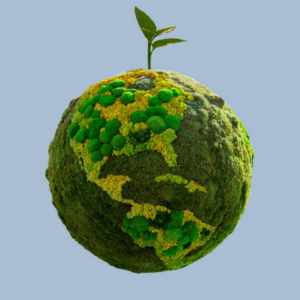 istock Green planet Earth from natural moss with plant. 1448308568