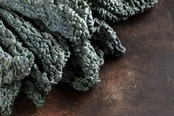 Cavolo nero black curly kale vegetable leaves on dark background.