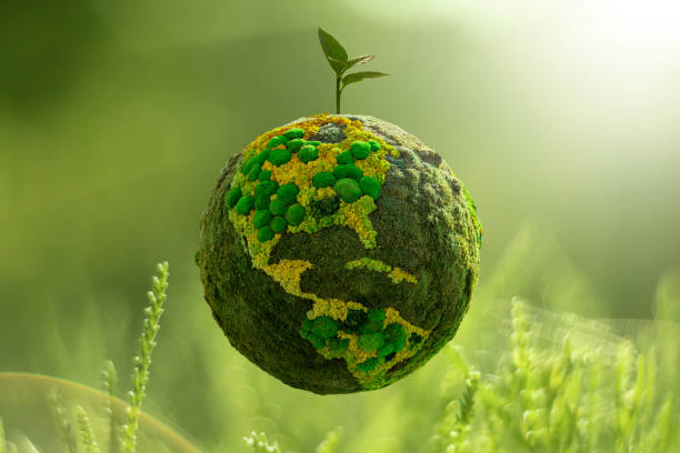 istock Green planet Earth from natural moss with plant. 1448308886