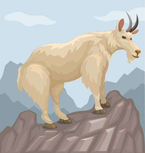 kuvapankkikuvitukset aiheesta kivinen vuorivuohen kiipeilymäki sarjakuva kuvitusvektori - mountain goat