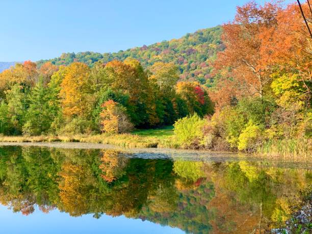 istock Reflection of Autumn Trees 1448316428