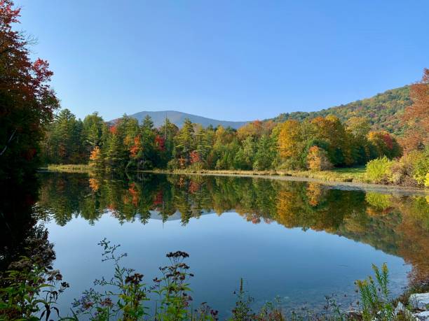 istock Vermont Lake in Autumn 1448316455