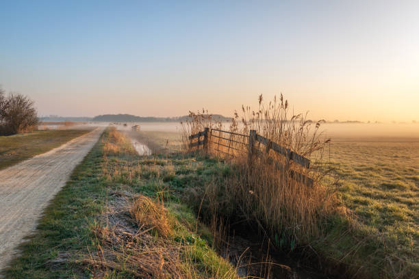 istock Morning fog in a wintry Dutch polder landscape 1448317352