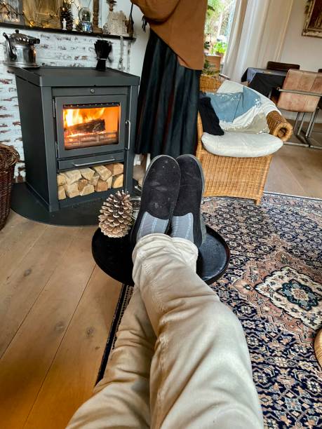 istock Resting in front of the wood stove 1448320929