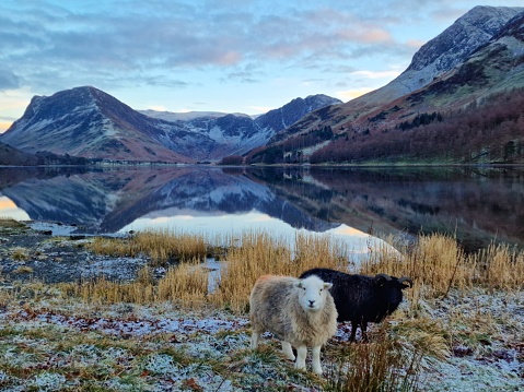 Frosty day at Buttermere