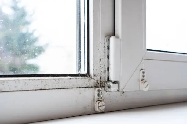 Photo of Mold on the window in the house. The problem of ventilation