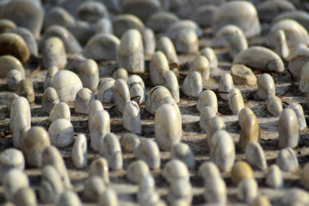 An image of close-up of reflexology stone path. Textured background.