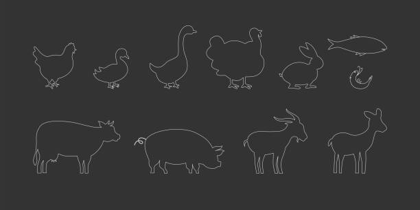 illustrations, cliparts, dessins animés et icônes de ensemble de symboles de viande pour la conception d’étiquettes d’emballage de produits, boucherie, menu dans le restaurant. - goose meat