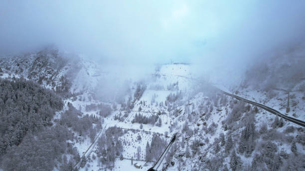 istock Snowy mountains with coniferous trees in clouds 1448334578
