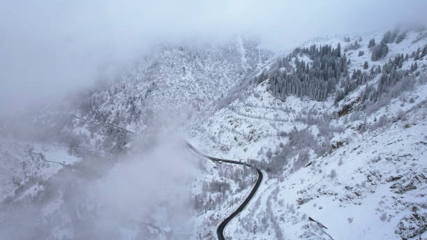 Snowy mountains with coniferous trees in clouds