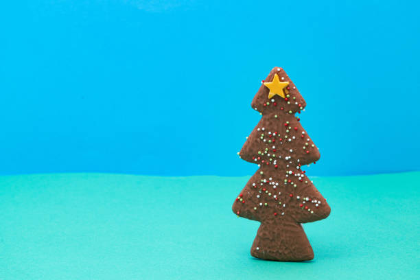 A milk chocolate coated Christmas tree gingerbread cookie with a land and blue sky background