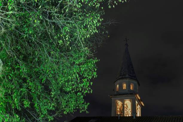 istock tree branch and church belltower at night 1448337889
