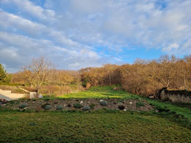 istock Garden's beauty winter time photo 1448338549