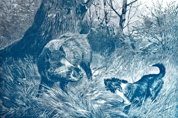 istock Dog barks at a wild boar in the forest 1448345419