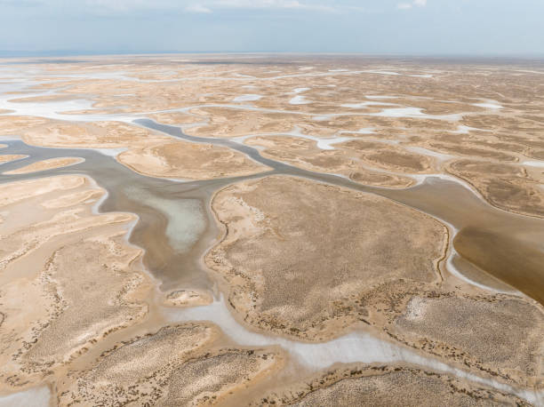istock Natural shapes and textures on lake 1448347220