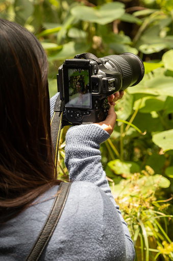 person with black hair holding and taking a picture with a digital professional camera to plants, hobby work tool, photography