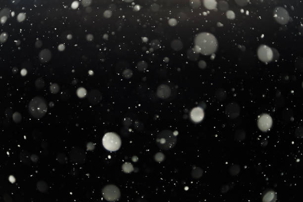istock Winter snowy landscape . Snowflakes are flying. 1448351490