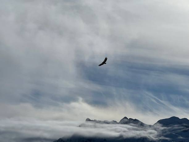 istock When the mountain puts on its beautiful snow coat 1448352012