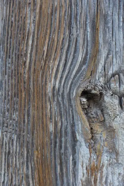 Old weathered wooden beam with distinctive grain - texture, pattern