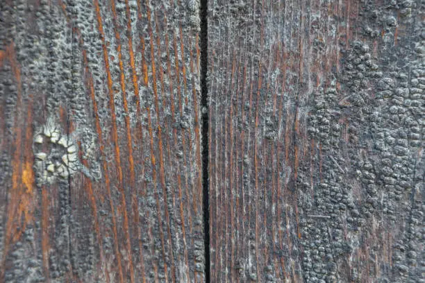 Old weathered wooden beam with distinctive grain - texture, pattern