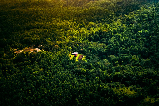 Aerial view of large dense rainforest of western ghats, with wooden cottages ,Chikmagalur,Karnataka.