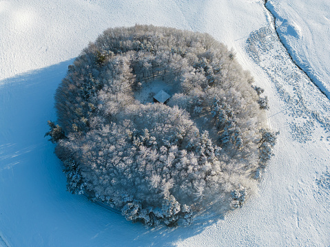 Aerial drone view of a circular planted woodland in the middle of a cold winter, with iced and frosty trees and a snow covered landscape. In the centre of the wood there is a small stone building, hidden from view and long ago abandoned.