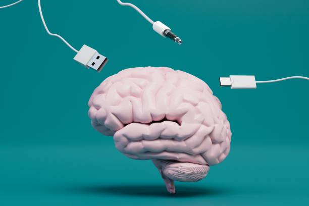 replenishment of the brain with information. brain and usb wires on a turquoise background. 3d render - shaved head imagens e fotografias de stock