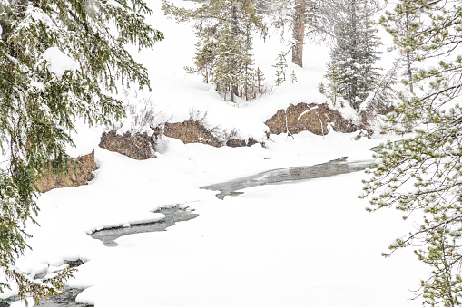 Winter water scene after heavy snow fall along partly frozen river between Yellowstone and Cooke City, Montana USA, North America