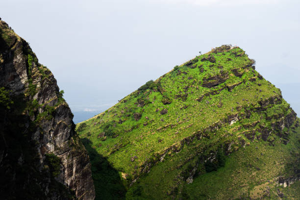 istock Steep and pointed hills, green lawn covered rocky mountains. 1448362439