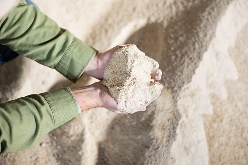 Closeup of handful of maize meal in hands of male farm worker. Concept of energy rich natural animal feed