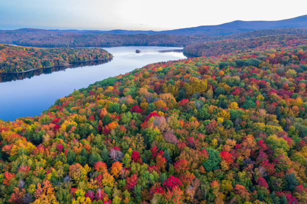 緑の山々の色とりどりの葉 - forest autumn aerial view leaf ストックフォトと画像