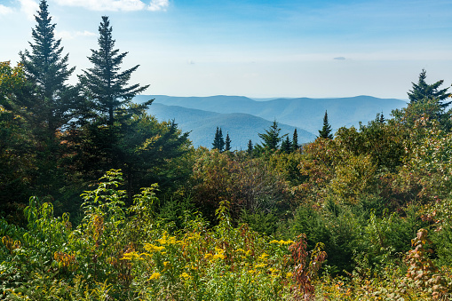 Lush vegetation, rolling green mountains, and a clear blue sky make this an idyllic photo of Mount Greylock in North Adams, Massachusetts.