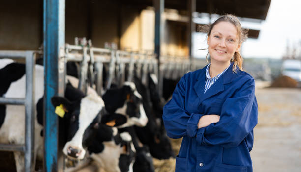 istock Farmer engaged in breeding of cows posing in cowshed 1448363823
