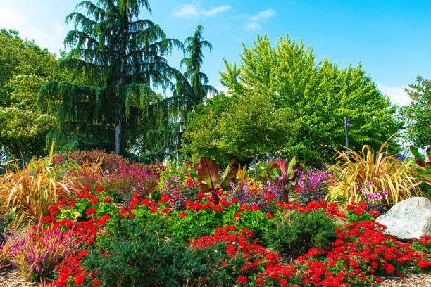 istock Colorful Flower Garden in Seattle 1448363903