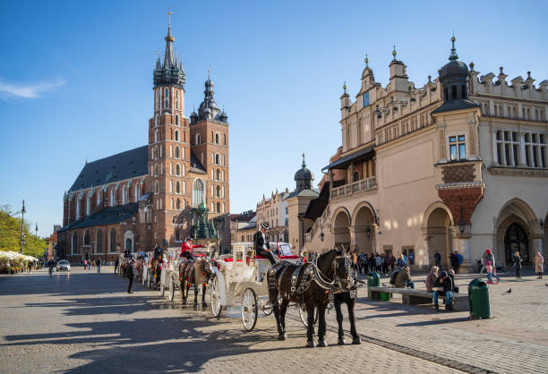 Horses and carriages waiting in front of St Mary's Church at Market Square in the Old Town. Krakow, Poland - November 10, 2022.
