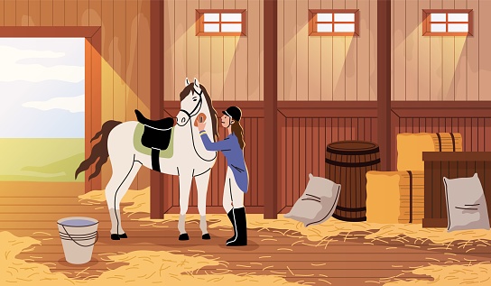 Horse care. Girl takes thoroughbred stallion car in racetrack stables, professional equestrian sport, woman washes and cleans animal, character in jockey clothes and helmet tidy vector cartoon concept