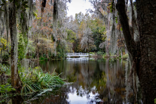 White Bridge Reflecting in Swamp Lake stock photo