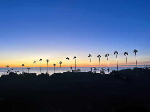 This is a beautiful sunset photo taken overlooking Swamis in Cardiff by the Sea, CA with a silhouette of palm trees in the foreground