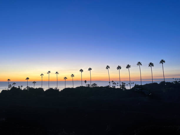 Encinitas Sunset over Swamis with Pam Trees stock photo